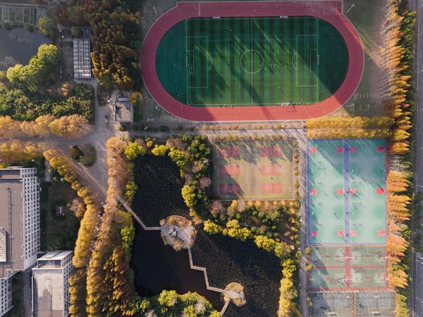 What Unique Sports Traditions Can Be Found in the UK?